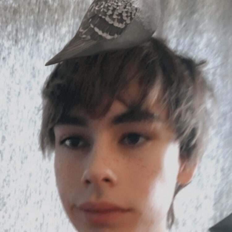 Foto de perfil de Mike