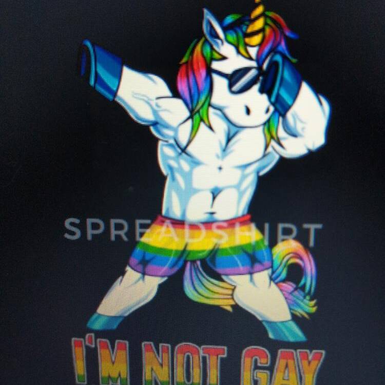 Gayunicorn