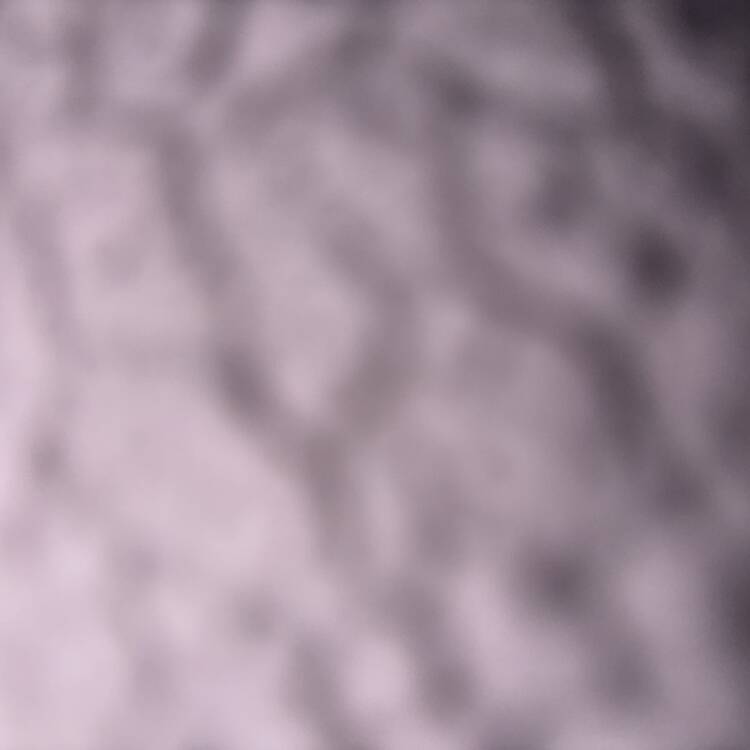 Foto de perfil de Joseph