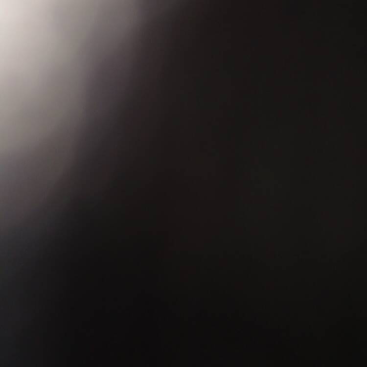 Foto de perfil de Logan
