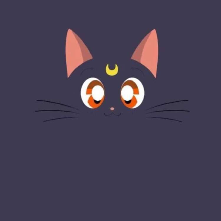 Foto de perfil de Jax