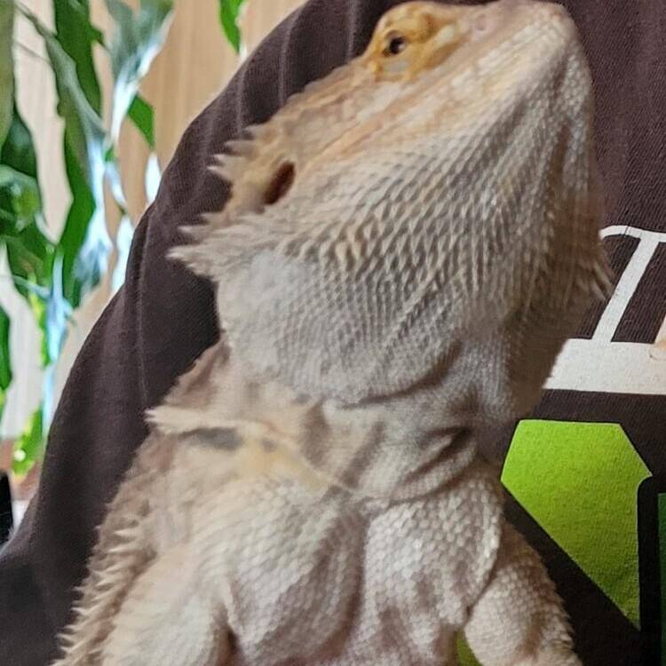 Foto de perfil de Teghan