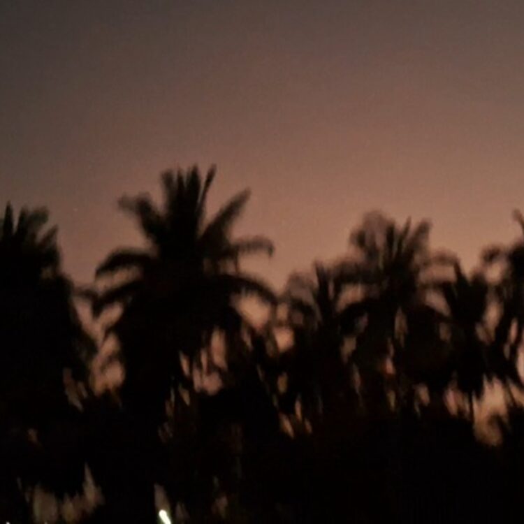 Foto de perfil de Bis