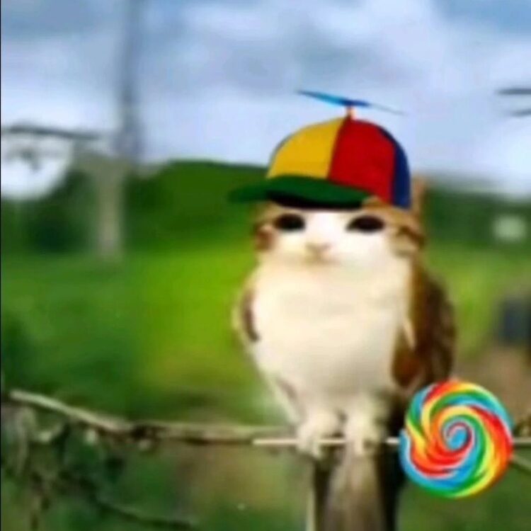 Foto de perfil de Jake