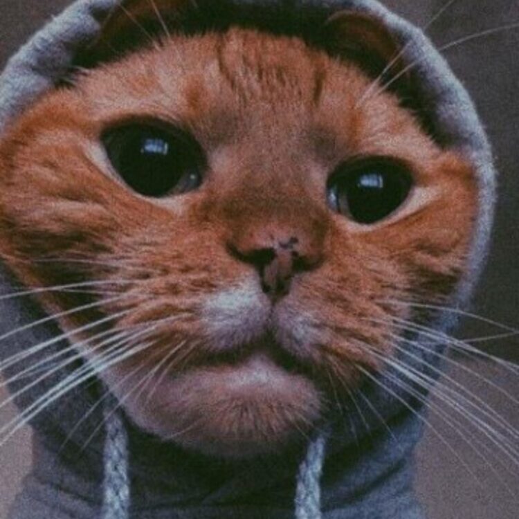Foto de perfil de AJ