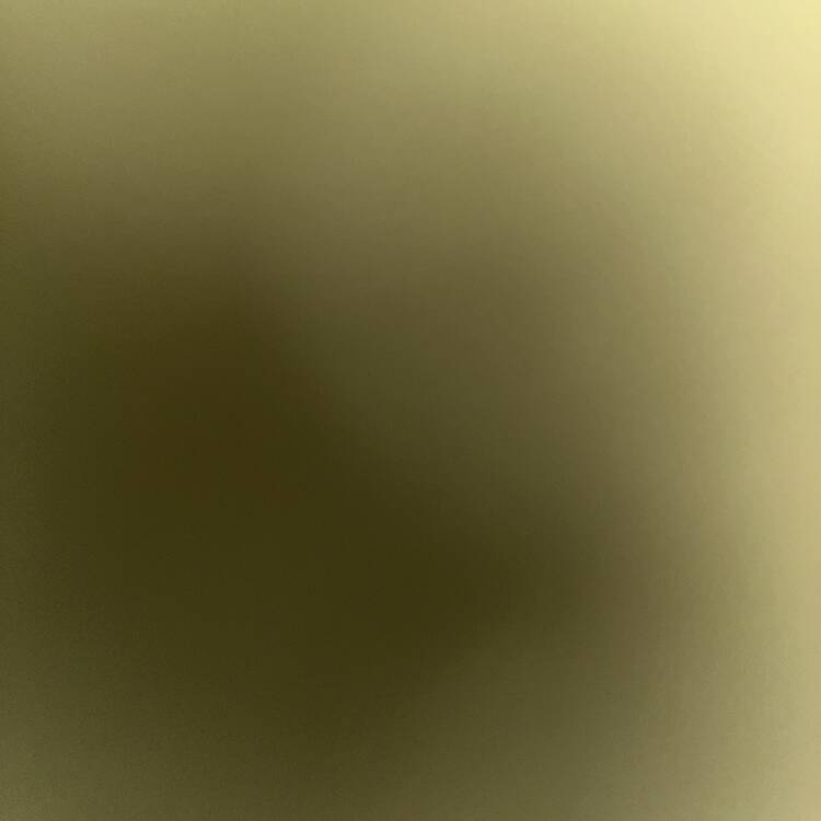 Foto de perfil de Cam