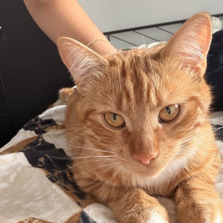 Foto de perfil de Dawn78