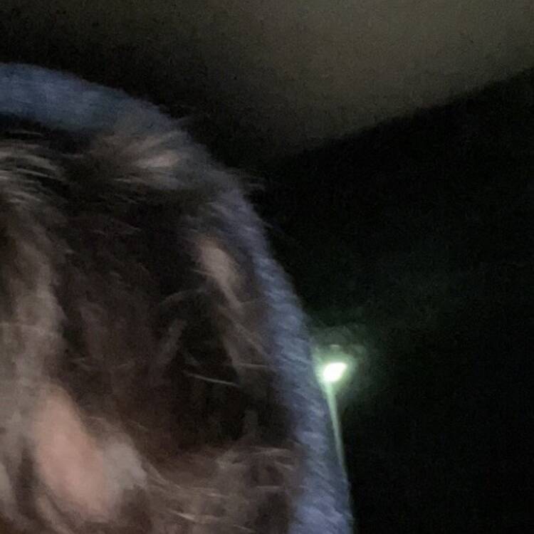 Foto de perfil de chase scott