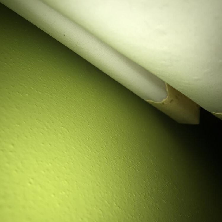 Foto de perfil de Mel