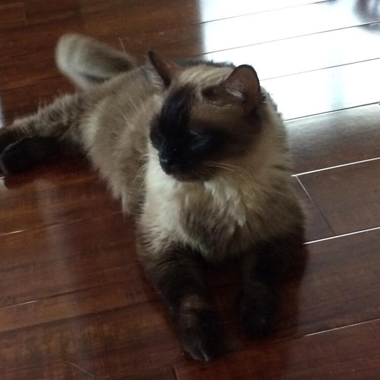 Foto de perfil de Mae