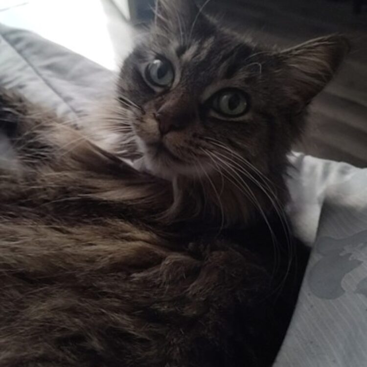 Foto de perfil de Brayden