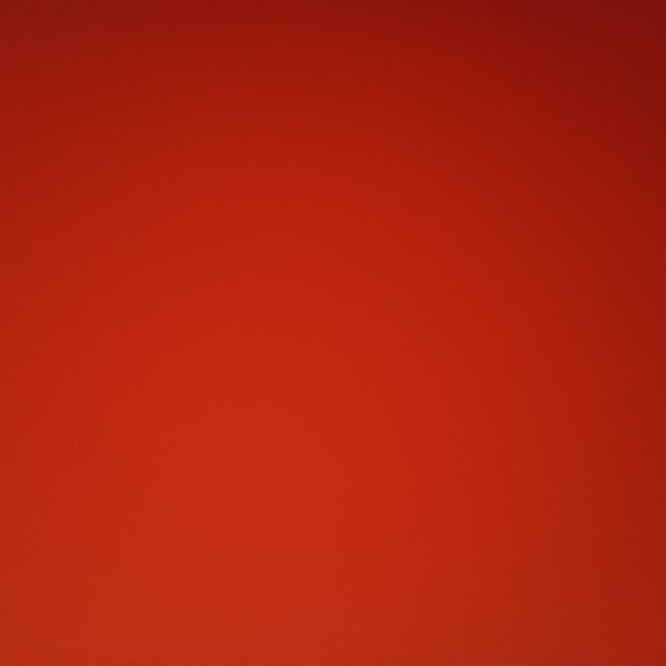 Foto de perfil de Tyler