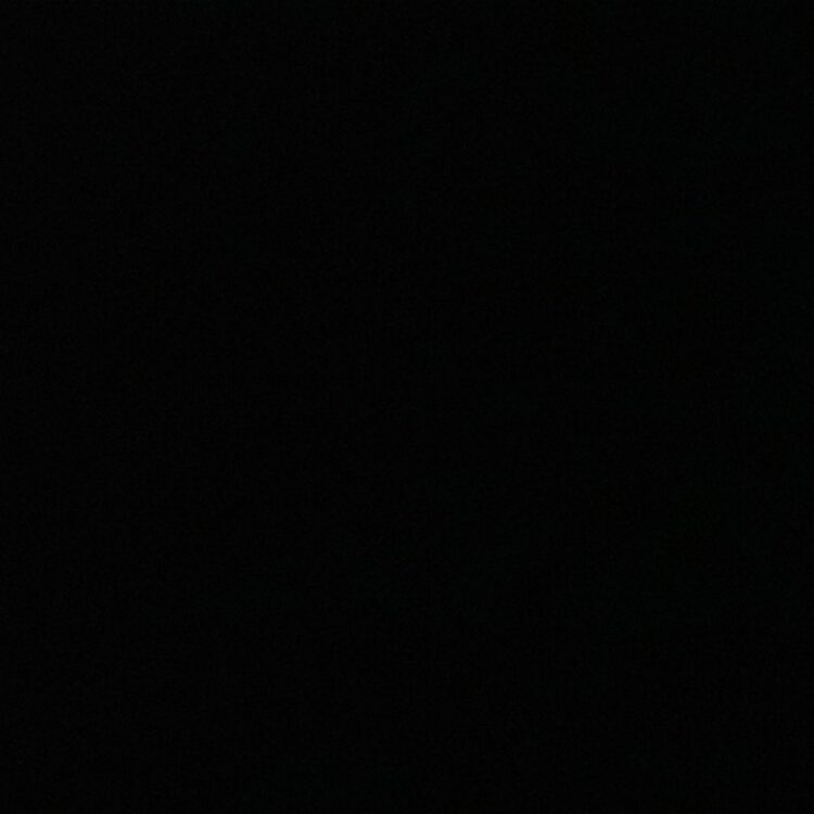 Foto de perfil de Randy