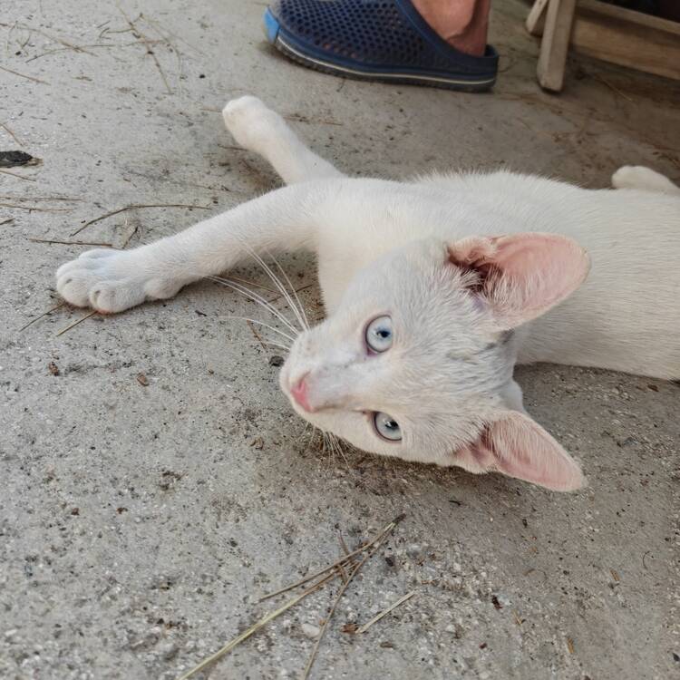 Foto de perfil de Aaron