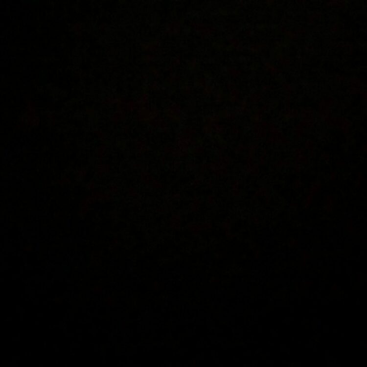Foto de perfil de Jonas