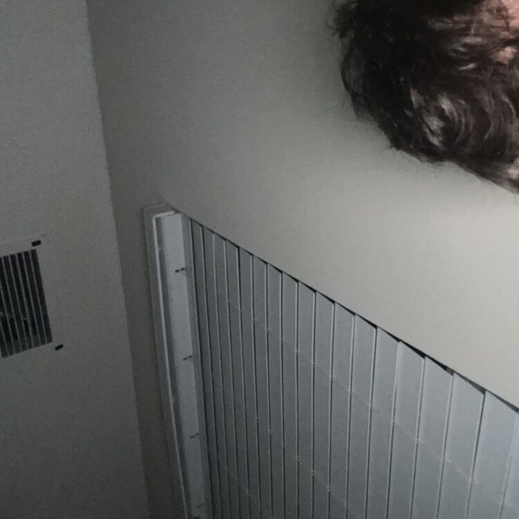 Foto de perfil de Dylan
