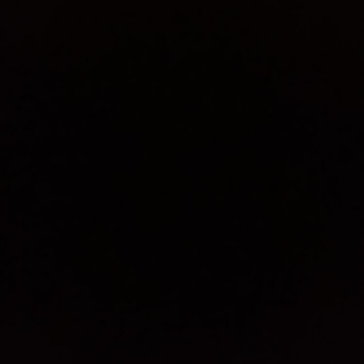 Foto de perfil de Jayden