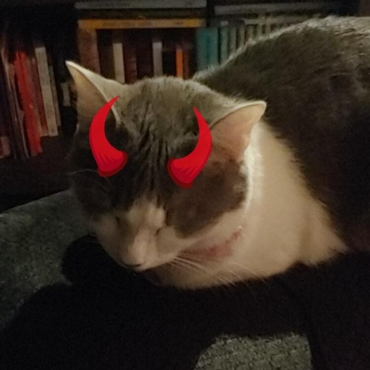 Foto de perfil de Tearini