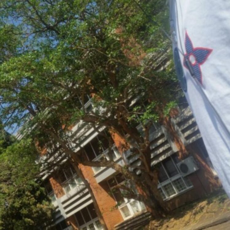 Foto de perfil de Stunna