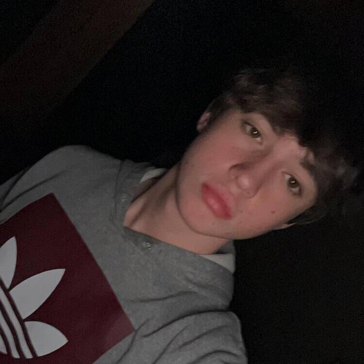Foto de perfil de Marko