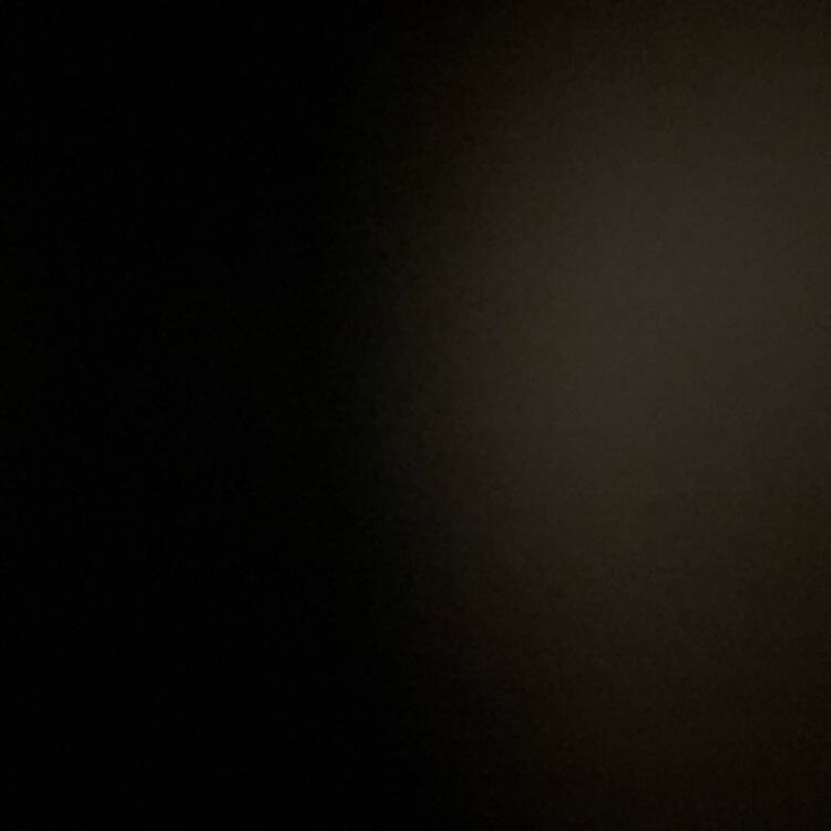 Foto de perfil de fifi