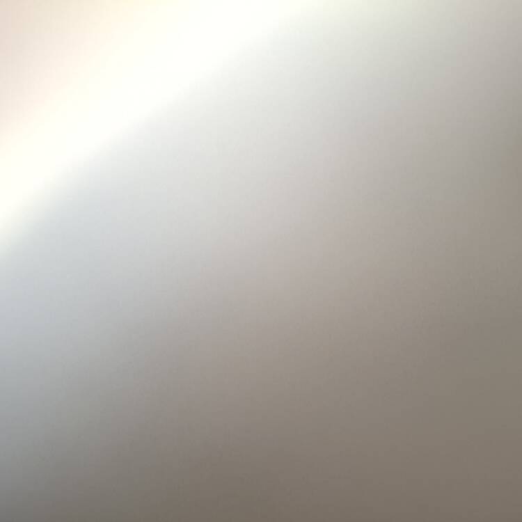 Foto de perfil de Dan