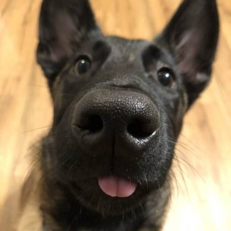 Foto de perfil de Tobias