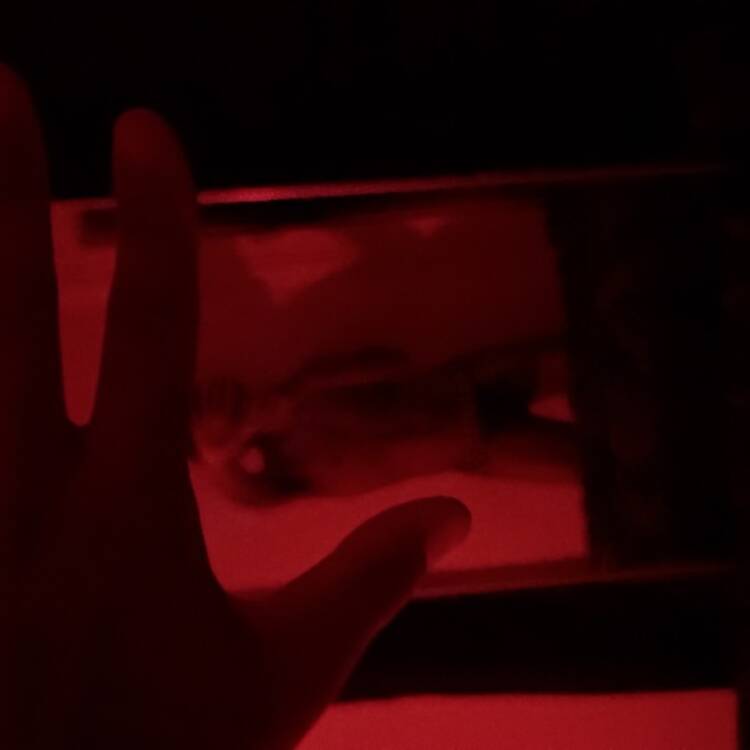 Foto de perfil de Izaquill