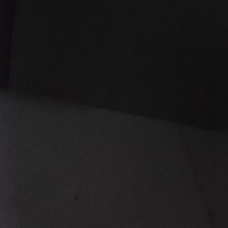 Foto de perfil de Pedo