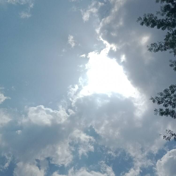 Foto de perfil de Aliyan