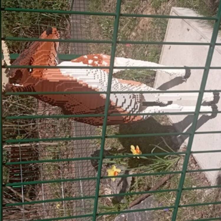 Foto de perfil de Lilli