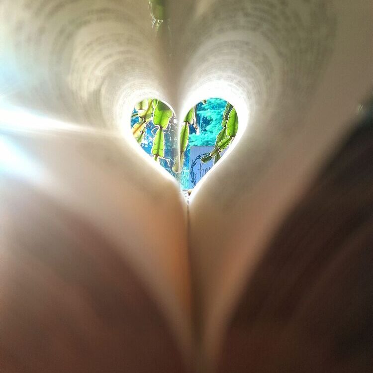 Foto de perfil de trula