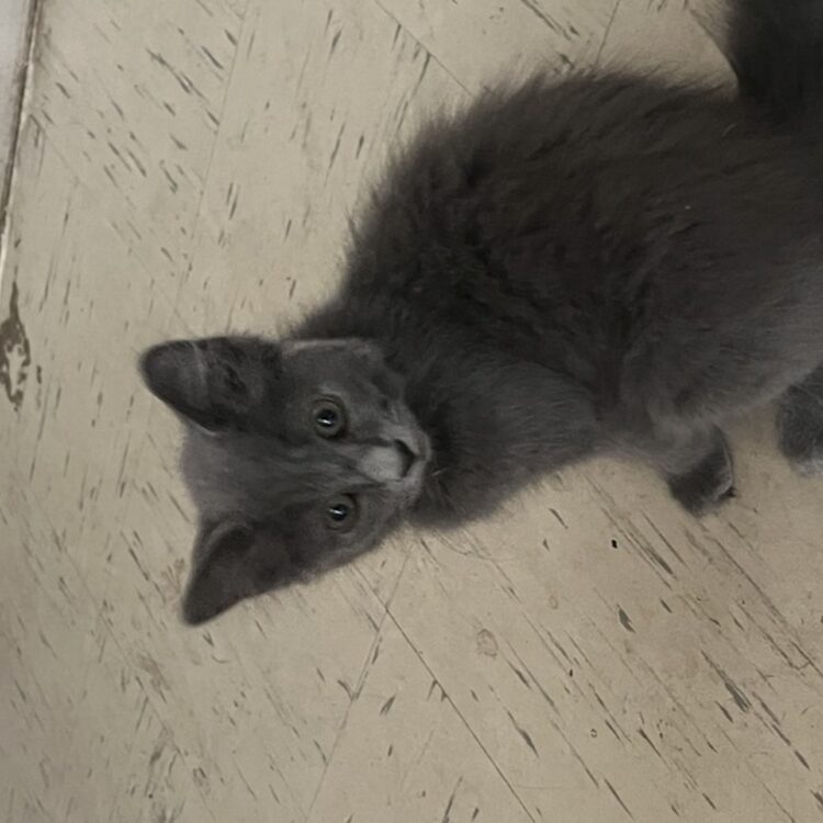Foto de perfil de Braydon