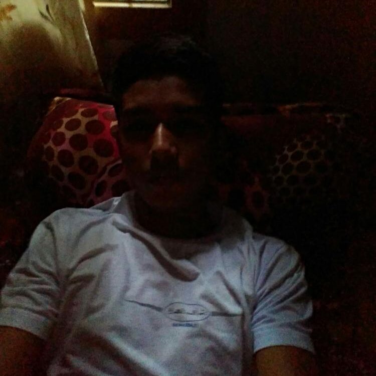 Foto de perfil de Seeheeco