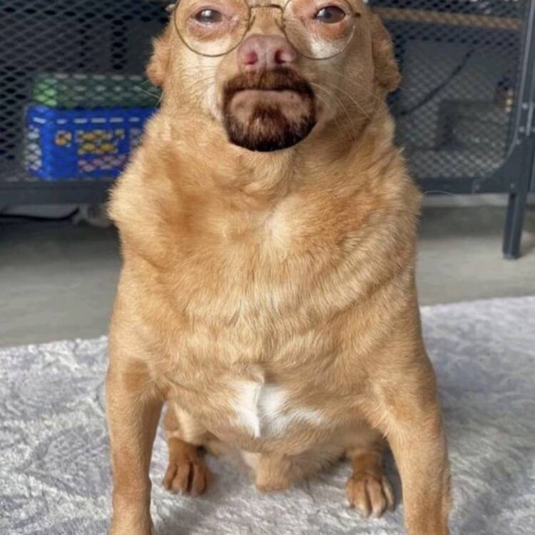 Foto de perfil de Luis