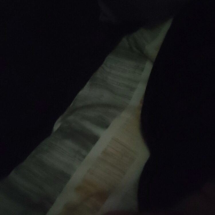 Foto de perfil de Bigboy