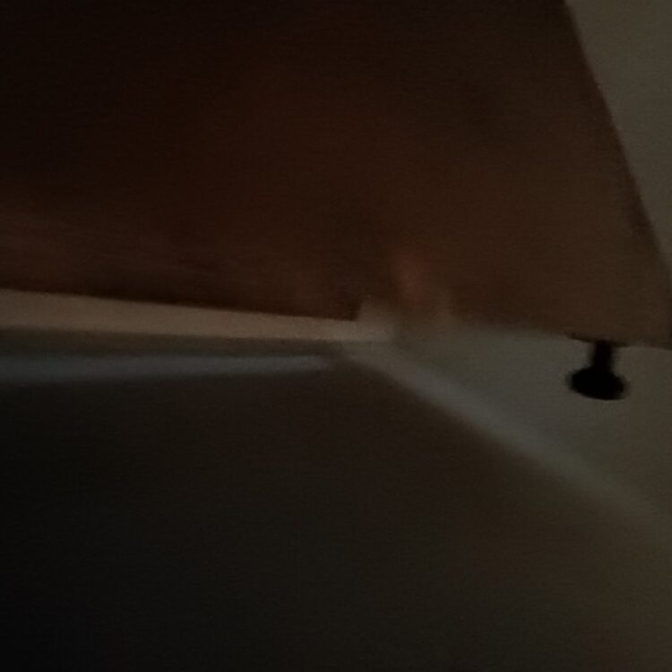 Foto de perfil de Pistol