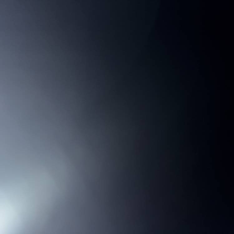 Foto de perfil de P