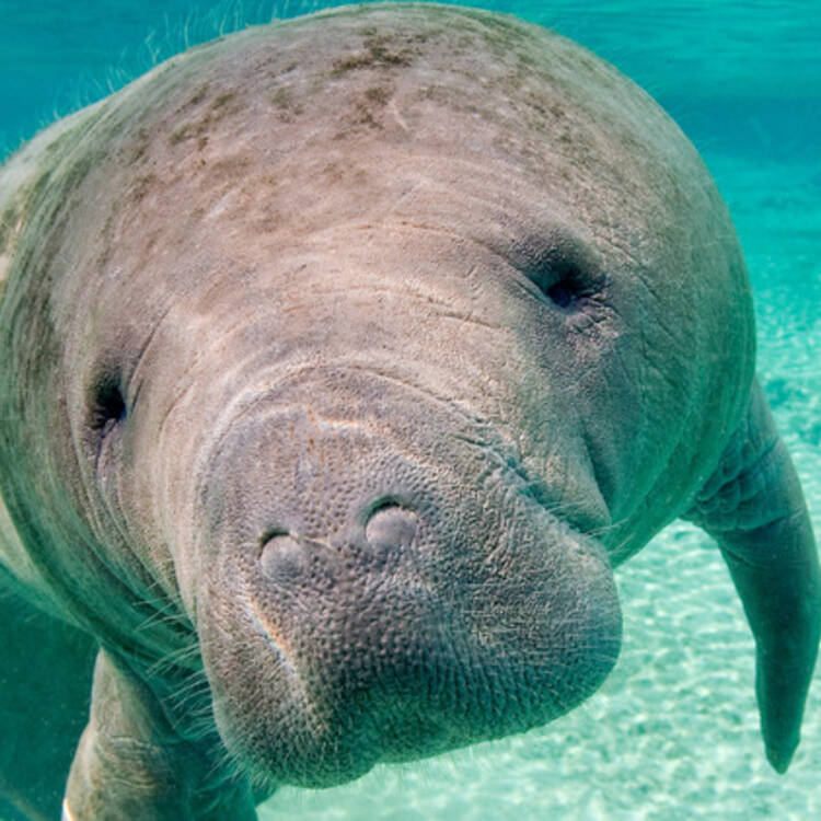 Foto de perfil de leo