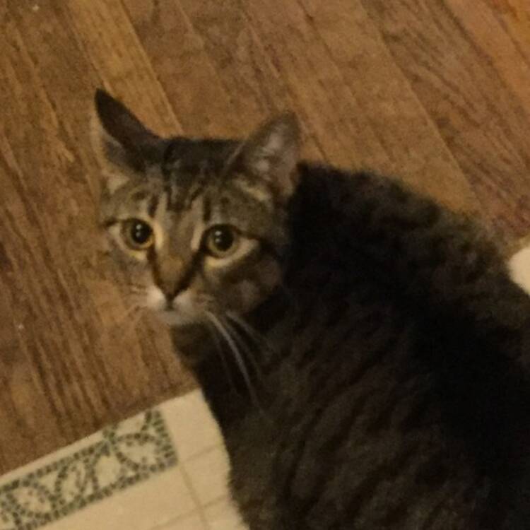 Foto de perfil de Bruce