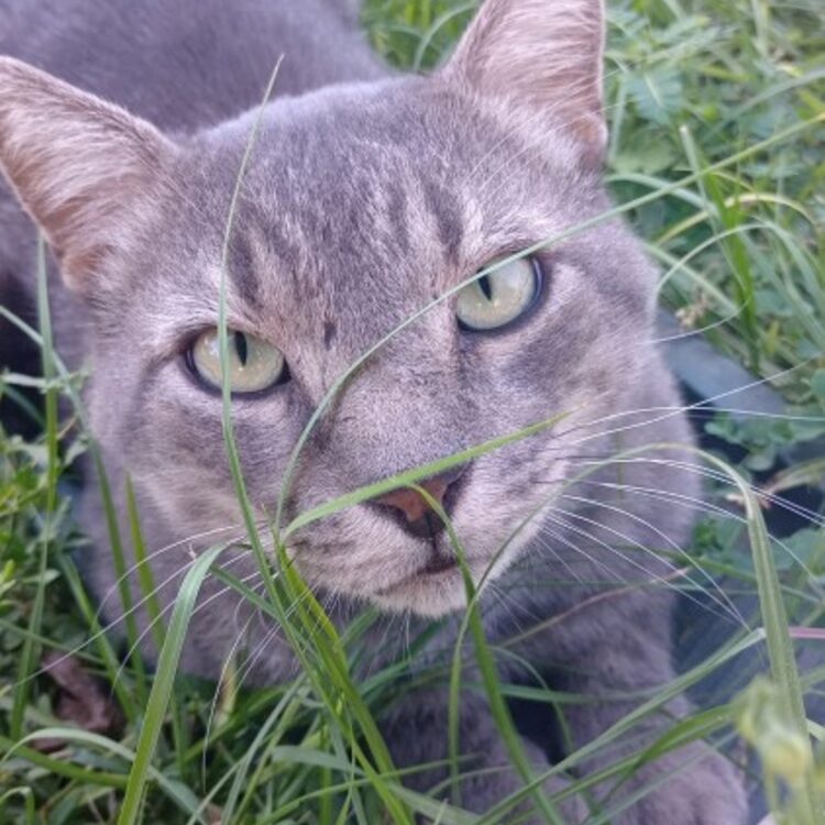Foto de perfil de ..