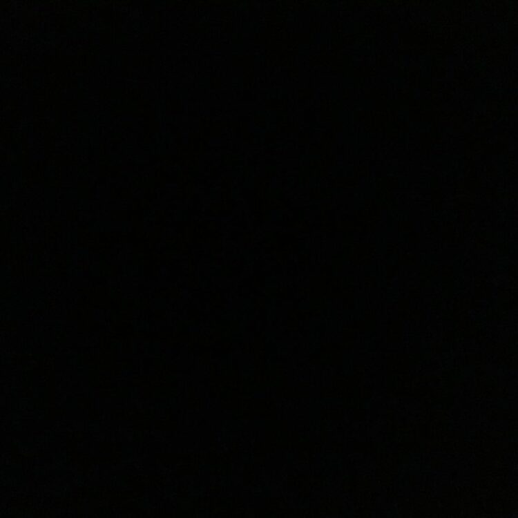 Foto de perfil de Logan