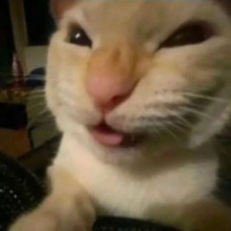 Foto de perfil de Dima