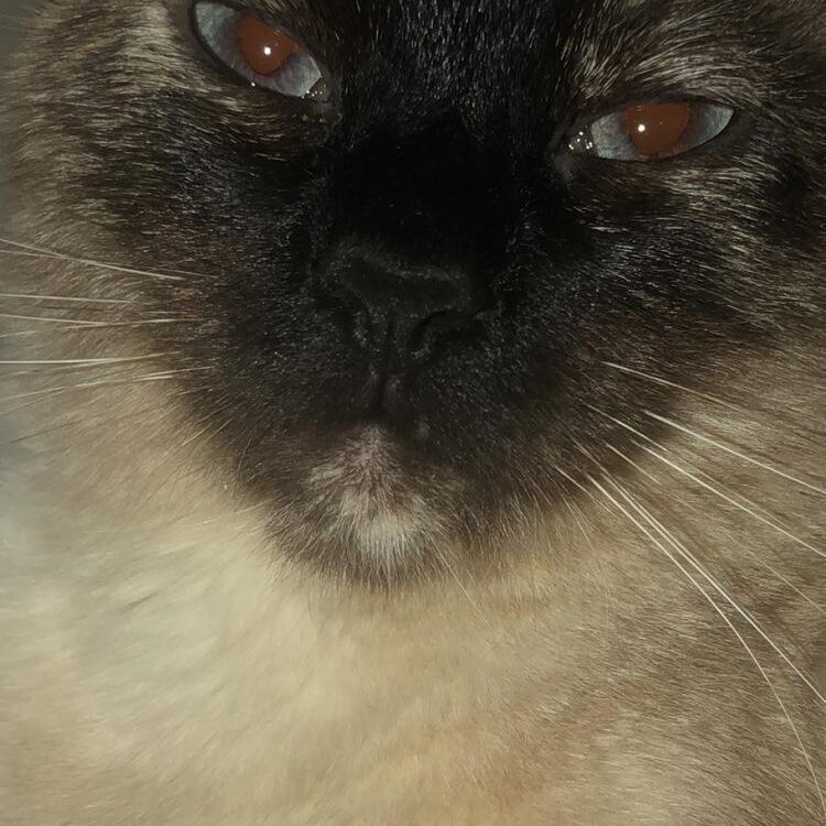 Foto de perfil de Skekdbwnwj