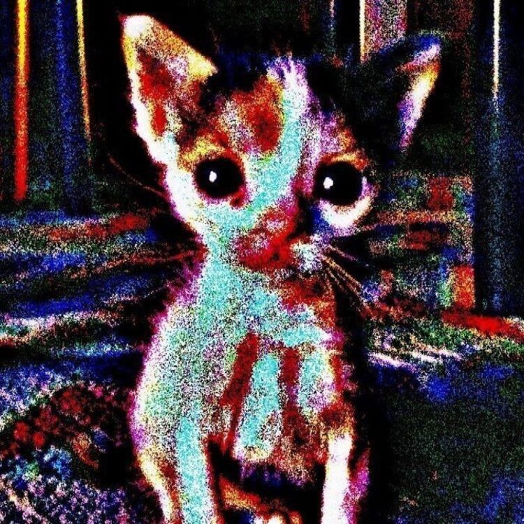 Foto de perfil de Scottyspoophaha