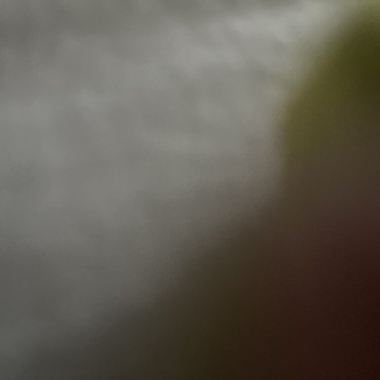 Foto de perfil de Rodri