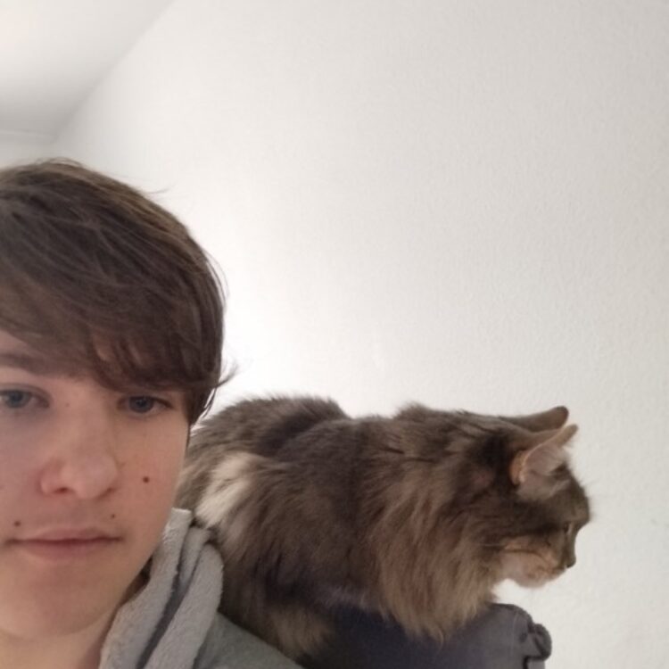 Foto de perfil de Alex
