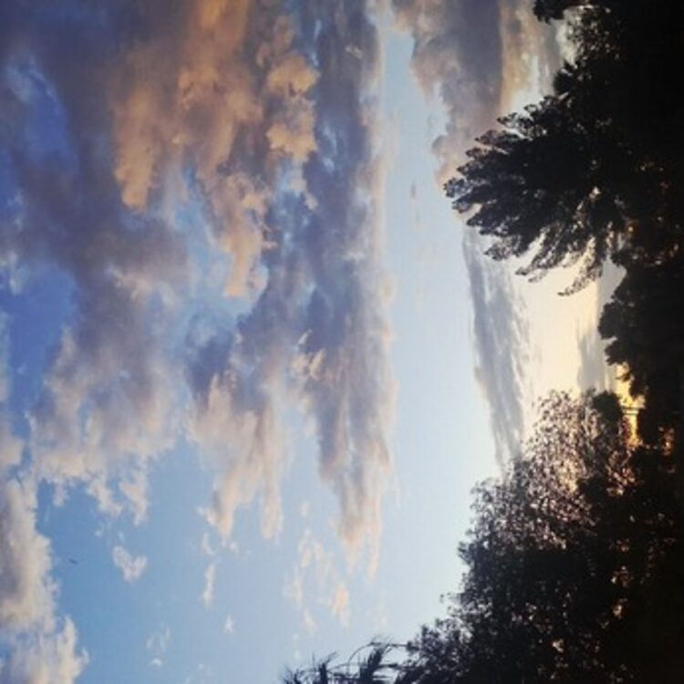 Foto de perfil de Conor