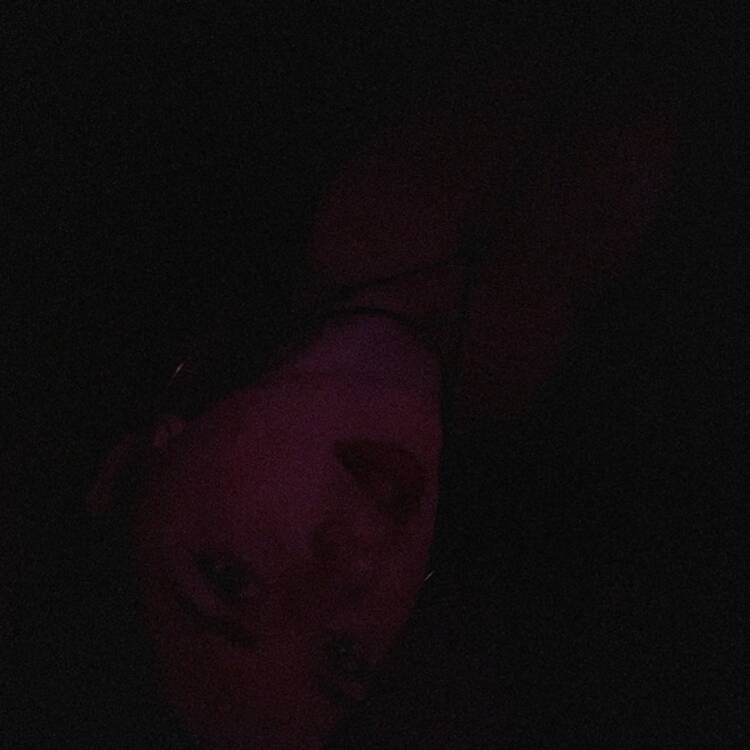 Foto de perfil de Leelee