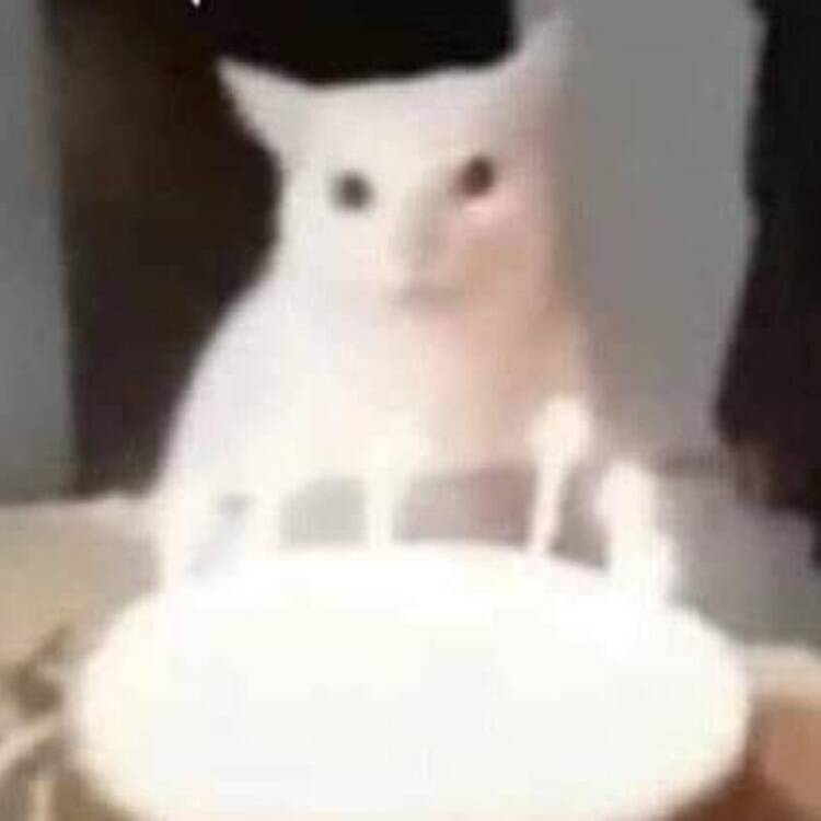 Foto de perfil de e